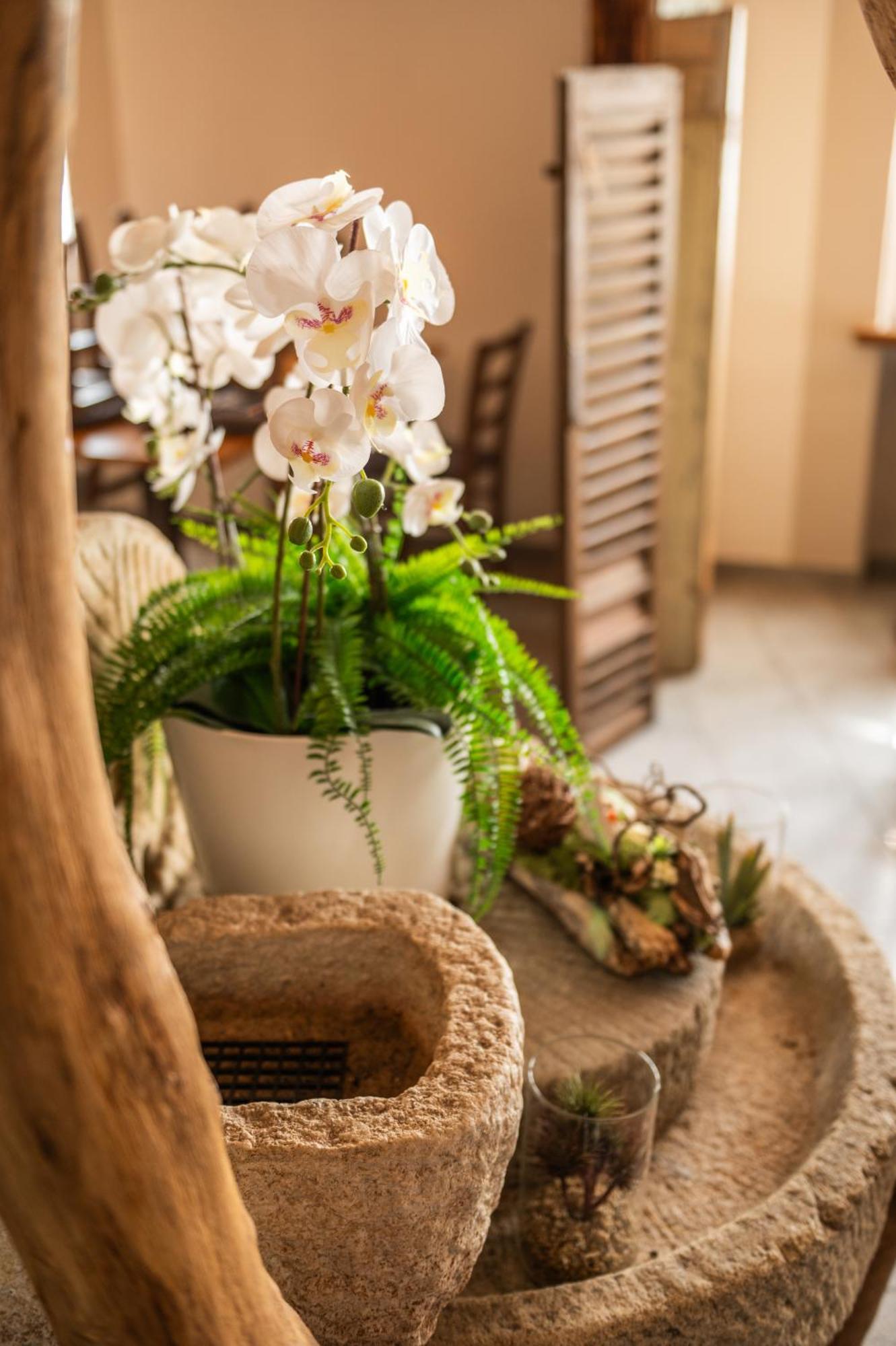 Locanda Poncini มัจเจีย ภายนอก รูปภาพ